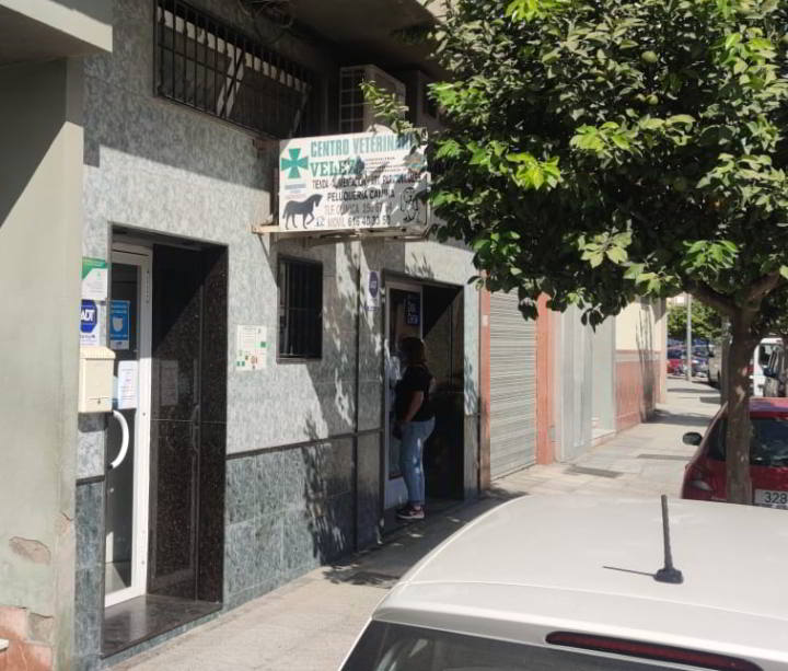 Clínica Veterinaria Velez Malaga